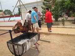 2015 06 06 et 07  APNA A DALIAS ALMERIA  (47)